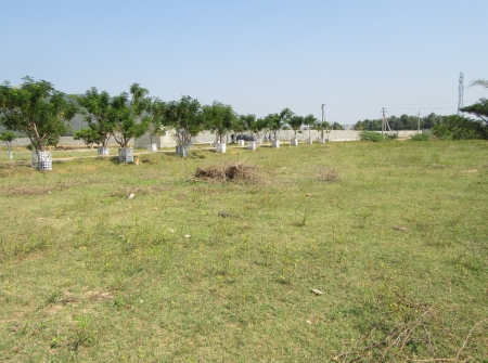 3) TUDA Approved Land for Sale Near Karkambadi Road, Tirupati.JPG